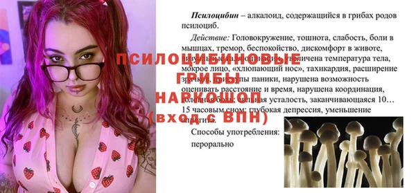 прущий лед Арсеньев