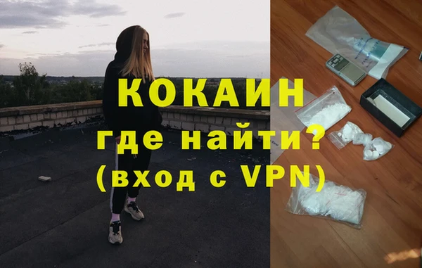 шишки Сафоново