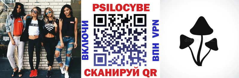 где найти наркотики  Цивильск  Галлюциногенные грибы Psilocybine cubensis 